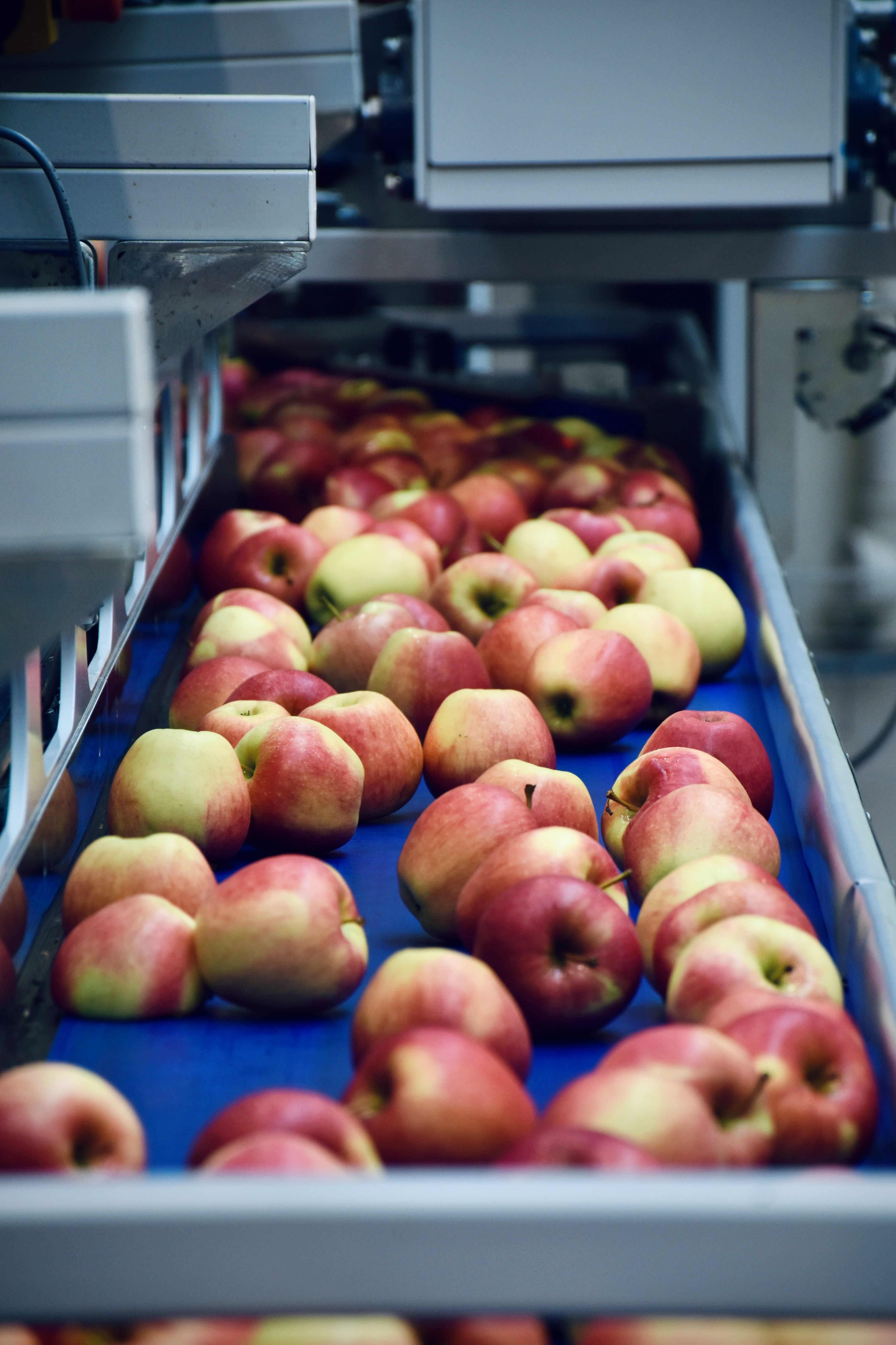 Why Food & Beverage Plants Prefer Water/Glycol Systems Over Hot Oil